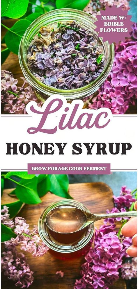 Explore Edible Flowers Recipes with lilac honey syrup. This herbal syrup combines the delicate flavor of lilacs with the sweetness of raw honey, making it perfect for cocktails, desserts, and more. Preserve the fleeting lilac season with this simple recipe. Find more healthy spring recipes, ways to use lilacs, and homemade syrup recipes at growforagecookferment.com. Lilac Honey, Honey Making, Flowers Recipes, Healthy Spring Recipes, Edible Flowers Recipes, Syrup Recipes, Wild Food Foraging, Spring Recipe, Spring Treats