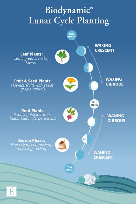 Bio Dynamic Gardening, Permaculture Layout, Lunar Gardening, Biodynamic Garden, Biodynamic Farming, Biodynamic Gardening, Types Of Farming, Regenerative Farming, Planting Calendar