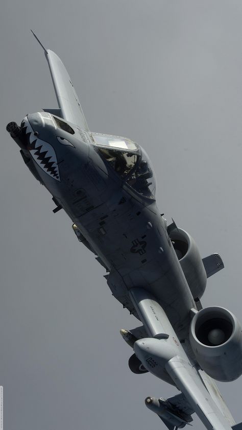 A10 Warthog, Fighter Planes Jets, Jet Fighter Pilot, A 10 Warthog, Us Military Aircraft, Airplane Fighter, 2160x3840 Wallpaper, Air Craft, Military Hardware