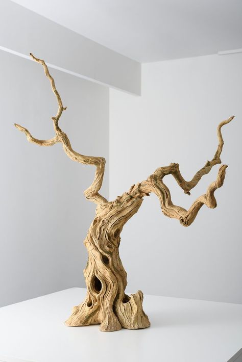 It is clay. In the solo show by Eric E. Serritella at Sokyo Gallery, Kyoto. Air Mancur, Sculpture Art Clay, Wood Art Projects, Driftwood Sculpture, Hallway Ideas Entrance, Modern Hallway, Miniature Trees, Tree Photography, Tree Sculpture