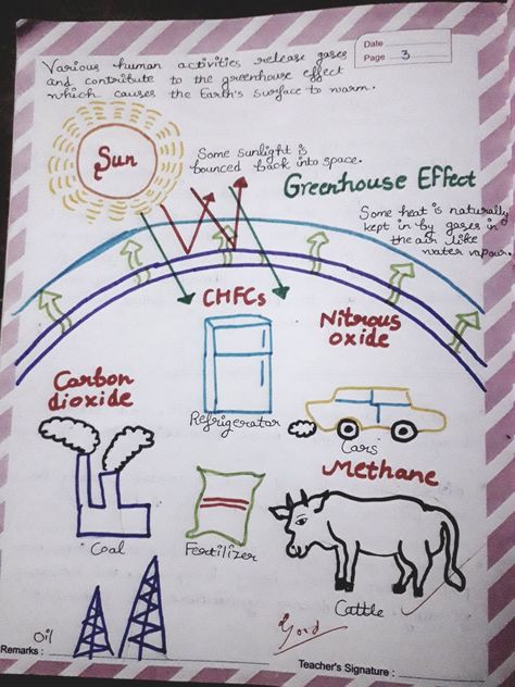 Green House Effect Science, Green House Effect Science Project, Biology Project, Biology Projects, Study Stuff, Science Crafts, Greenhouse Effect, Ozone Layer, 6th Grade Science