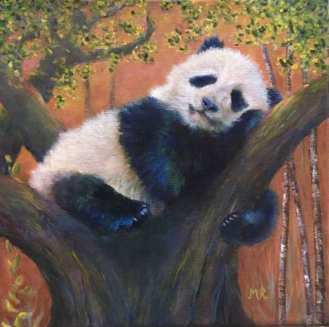 Inspired by an acrylic tutorial at www.acrylicpaintingwithgingercook.com where acrylic artists master their craft with personal art coaching, Panda Paintings Acrylic, Panda Oil Painting, Panda Painting Acrylic, Sleeping Panda, Panda Painting, Inspiration Painting, Acrylic Artists, Panda Art, Galaxy Art