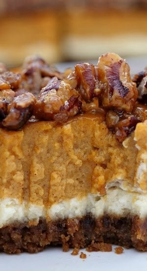 Cheesecake Pumpkin, Cake Pumpkin, Pumpkin Pie Bars, Thanksgiving Food Desserts, Pumpkin Bars, Dessert Party, Pumpkin Recipes Dessert, Pumpkin Pecan, Candied Pecans