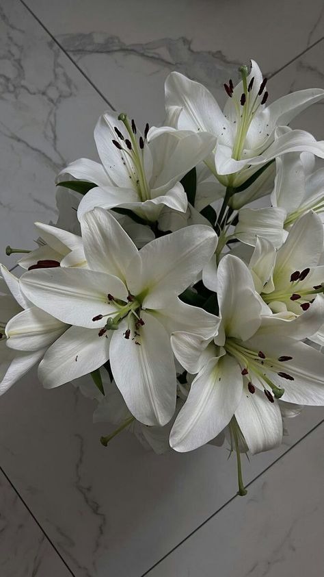 White Lillie’s, White Orchid Aesthetic, White Lily Flower Bouquet, Lilly Flower Aesthetic, White Lilies Bouquet, Lillies Flowers, Lily Aesthetic, White Lily Bouquet, Lilies Bouquet