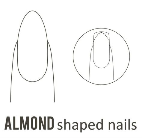 Nail Templates, Nail Guide, Nail Hacks, Print Outs, Almond Shape Nails, Almond Nail, Nail Tips, Nail Art, Collage