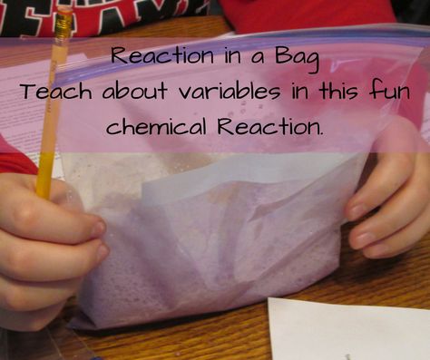 Reaction in a bag uses simple supplies and easy to clean up.  This is a great back to school activity to introduce the scientific method.  Students will learn about variables while discovering what each chemical does in the reaction.  There is gas production, color change, and temperature changes. October Science Activities, October Science, Classroom Science Experiments, Chemical Change, School Science Experiments, Chemistry For Kids, Chemical And Physical Changes, Middle School Science Experiments, Back To School Activity