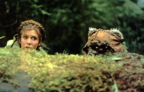 Princess Leia Organa and Wicket from Star Wars Episode 6 Return Of The Jedi Star Wars Return Of The Jedi, Return Of The Jedi Aesthetic, Carrie Fisher Harrison Ford, Star Wars Episode 6, Fanart Inspiration, General Leia Organa, Princess Leia Costume, Wars Aesthetic, Leia Star Wars