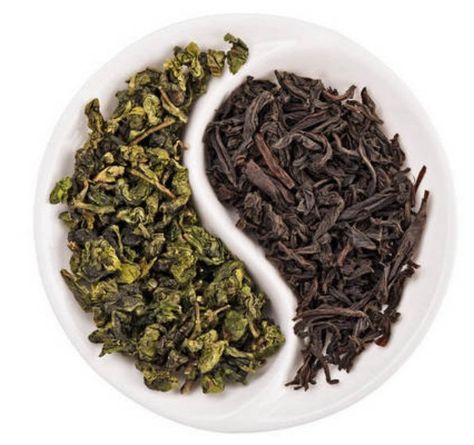 Tea Plant, Tea Health Benefits, Perfect Cup Of Tea, Camellia Sinensis, Premium Tea, Tea Green, Types Of Tea, Unhealthy Food, Camping Food