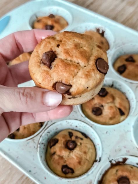 Banana Protein Muffins — Laura's Lane Protein Banana Muffins, Banana Protein Muffins, Muffins For Breakfast, Silicone Muffin Pan, Banana Protein, Kodiak Cakes, Protein Muffins, Banana Chips, Chocolate Chip Muffins