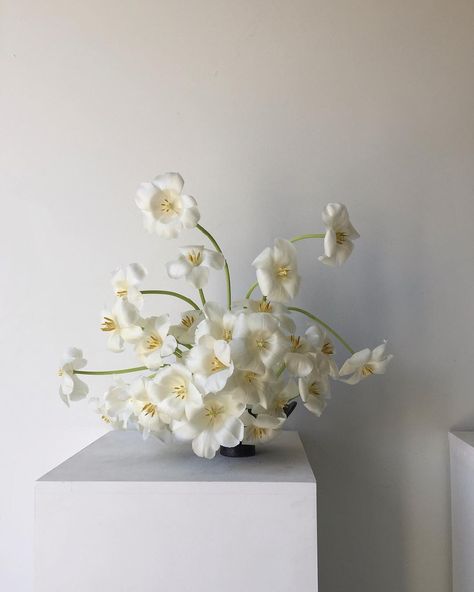 Modern Wedding Inspiration, Wedding Flower Inspiration, White Tulips, Flower Lover, Beautiful Blooms, Online Magazine, Pretty Flowers, Wedding Centerpieces, Wedding Modern