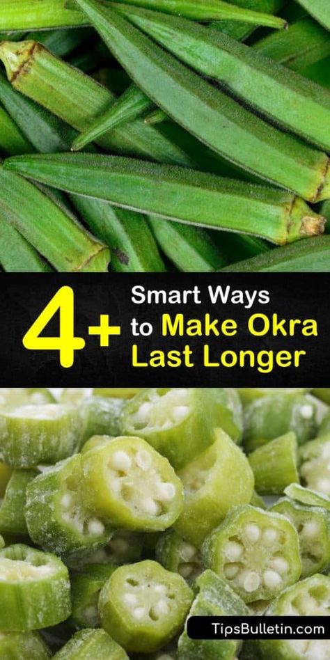 Consume delicious okra pods year-round with these recipes that store okra for long periods of time. Blanching okra plants is the first step in storing fresh okra that can be made into pickles, soups, and gumbo. You don’t want to miss out on these tasty dishes. #long #okra #last How To Store Okra, Frozen Okra Recipes Baked, Canning Okra For Frying, Fresh Okra Recipes, Canning Pickled Okra, Southern Fried Okra, Fresh Okra, Okra Water, Okra Plant