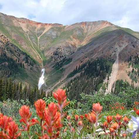 San Juan National Forest Colorado, Good Thursday Morning, San Juan Mountains Colorado, Colorado Hiking Trails, Good Thursday, Vacation 2024, West Coast Trail, Pagosa Springs, Make It Count