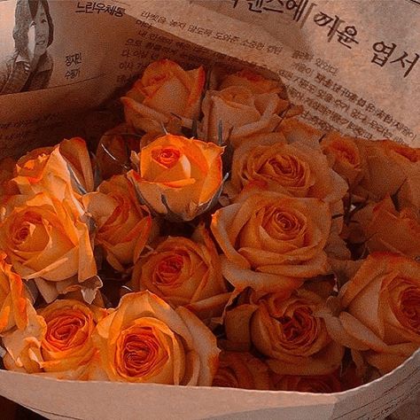 Aesthetic Photo Orange, Orange Icons:), Rosé Aesthetic, Summer Yellow, Orange Aesthetic, Orange Roses, Yellow Aesthetic, Aesthetic Images, Happy Colors