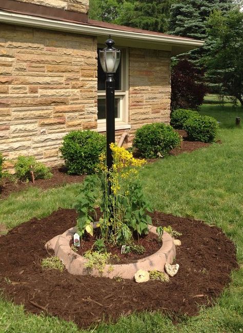 Picture of Repurposed Turtle Sandbox to Planting Ring I Bought A House, Outdoor Play Spaces, Bought A House, Garden Rake, Outdoor Play Areas, Yard Project, Backyard Games, Container Gardens, Little Tikes