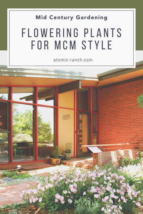 Midcentury Garden Ideas, Mid Century Modern Vegetable Garden, Mid Century Rock Garden, Mid Century Plants Outdoor, Midcentury Modern Garden Landscaping, Mid Century Modern Raised Garden Beds, Mid Century Garden Design, Mid Century Modern Garden Landscaping, Mcm Garden Design