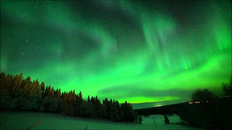 Beautiful view🤩🤩 Green Aurora Wallpaper, Desktop Wallpaper Landscape, Aurora Wallpaper, Green Aurora, Light Tree, Wallpaper Landscape, Northern Lights (aurora Borealis), Beautiful Background, Windows Computer