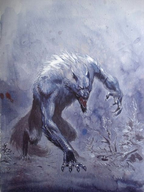 werewolf White Werewolf, Werewolf Art, Vampires And Werewolves, Amazing Artwork, Creatures Of The Night, A Wolf, Wolf Art, The Wolf, The Villain