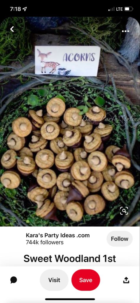 Mushroom Bridal Shower Ideas, Nature Theme Baby Shower Ideas, Mushroom Gender Reveal, Fairy Theme Baby Shower Ideas, Mushroom Themed Baby Shower Ideas, Mushroom Baby Shower Theme, Cottage Core Baby Shower Theme, Cottagecore Baby Shower Ideas, Fairy Baby Shower Ideas