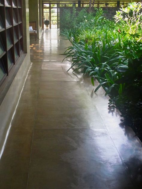 Polished coloured Concrete Plaster walls and floors - Muirne Kate Dineen Ips Flooring, Coloured Concrete, Studio Mumbai, Plaster Walls, Floor Finishes, Cement, How To Find Out, Cafe, Flooring