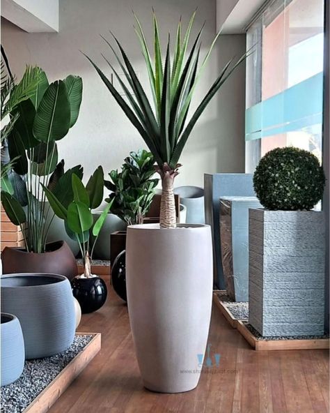 The Modern White Vase Shaped FRP Planter With Its Handcrafted Smooth Finished Body And Clean Lines Add A Unique And Minimalistic Touch To Any Spaces. Showcase Your Favorite Plants In Style And Bring A Touch Of Natural Charm To Your Interior. Using Fiberglass Planters In Your Plantscaping Designs Is A Great Way To Enhance The Beauty Of Any Indoor Or Outdoor Landscape. Their Durable, Commercial Grade Construction And Vast Color Choices Make Fiberglass Plant containers An Interiorscape And Exter... Exterior Landscaping, Plant Containers, Plants Pots, Fiberglass Planters, Outdoor Landscape, White Vase, Vase Shapes, White Vases, Outdoor Landscaping