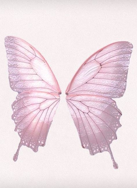 Butterfly Pink Aesthetic, Pink Tattoo Aesthetic, Pink Aesthetic Butterfly, Pink Butterfly Aesthetic, Fairy Wings Aesthetic, Pink Butterfly Wings, Pink Fairy Wings, Pink Wings, Wings Png