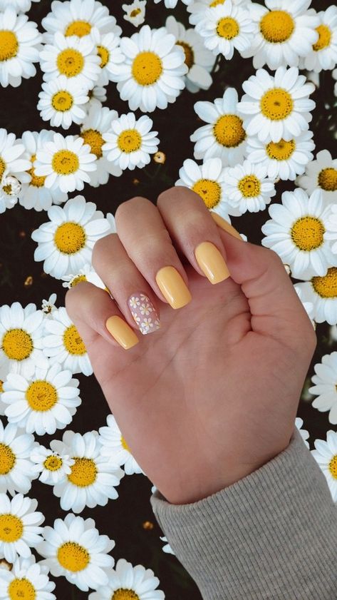 Yellow amarelo Flores floral primavera unhas de primavera Daisy Yellow Nails, Daisy Nails Yellow, Yellow Nails With Daisy, Yellow Daisy Nails, Future Nails, Bday Nails, Dandelion Yellow, Sunflower Nails, 30th Bday