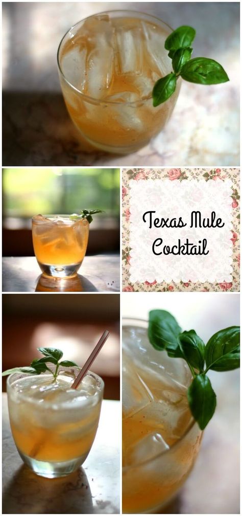 Texas Mule Cocktail is made with tequila and peach schnapps. Sweet, spicy, and refreshing with a big taste of Texas. SO YUMMY! :) from http://RestlessChipotle.com Cowgirl Drinks, Cowboy Drinks, Cowboy Cocktails, Cowgirl Cocktail, Fancy Beverages, Moscow Mule Drink Recipes, Party Punches, Mule Drink, Ginger Beer Cocktail