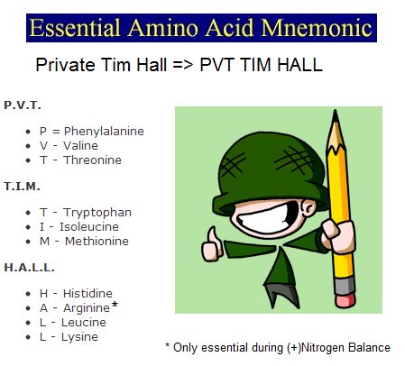 My Notes for USMLE — AMINO ACIDS MNEMONIC: The most stupid way to... Amino Acids Mnemonic, Neet 2025, Biochemistry Notes, Learn Biology, Biology Revision, Science Concepts, Medical Mnemonics, Chemistry Classroom, Study Biology