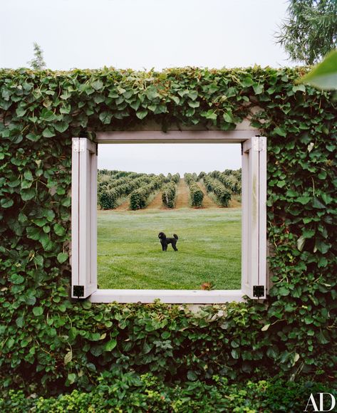 Sherry and Alan Koppel's Sculpture Garden in Michigan | Architectural Digest Michigan Gardening, Gardens Of The World, Sculpture Garden, Formal Gardens, Up House, Love Garden, Beauty Ideas, Green Wall, Architectural Digest