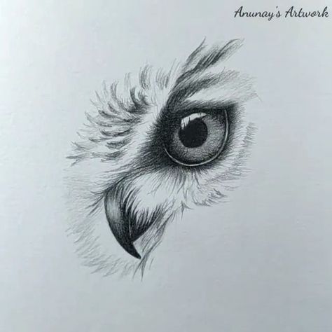 Birds eye... | Birds eye... #drawingtips #teaching #birdseye | By Anunay's Artwork Animal Eye Sketch, Owl Eyes Tattoo Design, Bird Eyes View Drawing, Owl In Flight Tattoo Design, Owl In Flight Drawing, Eye Sketch, Eye Drawing, Birds Eye, Drawing Tips