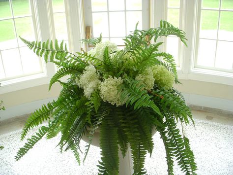 Wedding flower arrangement with white hydrangea and ferns Ferns And Hydrangeas Wedding, Fern Arrangements Wedding, Tolkien Wedding, Fern Wedding, Navy Wedding Flowers, Beach Wedding Decorations Reception, Neutral Wedding Flowers, Peach Wedding Flowers, Quinceanera Planning