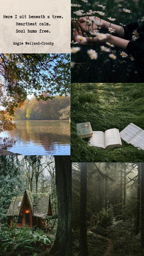 Woodsy Aesthetic Wallpaper, Silent Places Nature, The God Of The Woods Book Aesthetic, Forest Vibes Aesthetic, Forest Aesthetic Outfit, Woodsy Aesthetic, Evergreen Aesthetic, Cottagecore Forest, Cottagecore Wallpaper