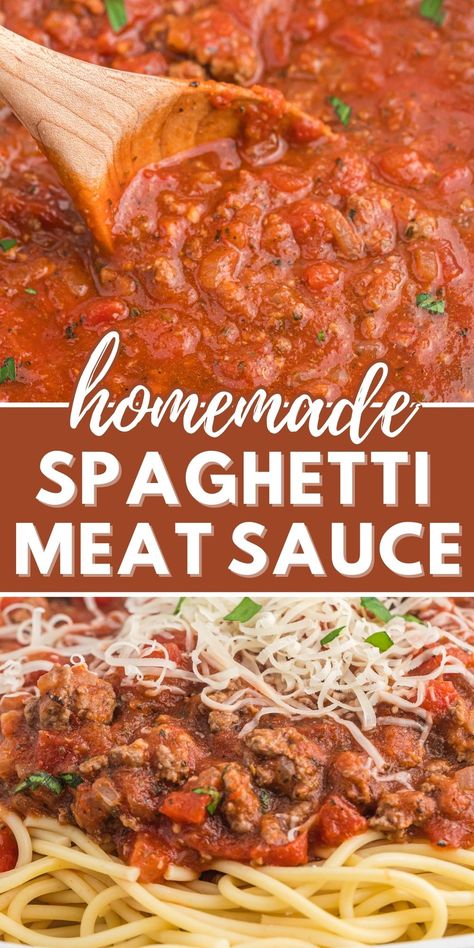 Homemade Spaghetti Meat Sauce, Homemade Spaghetti Sauce Easy, Cheese Sauces, Homemade Spaghetti Sauce Recipe, Canned Spaghetti Sauce, Spaghetti Recipes Easy, Spaghetti Meat Sauce, Best Spaghetti, Pasta Sauce Homemade