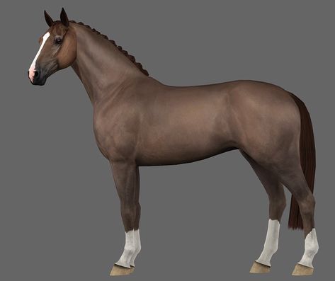 Horses Sims 4, Sims 4 Cc Horse Riding, Sims 4 Cc Horse Riding Clothes, Sims 3 Horse Cc, Sims 3 Horses, Sims 4 Horse Cc, Sims 4 Pets Mod, Horse Clips, Horse Template