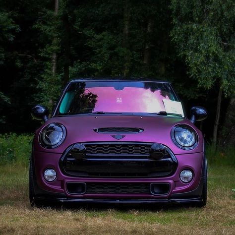 Modified Mini Cooper, Modded Mini Cooper, Mini Cooper Colors, Purple Mini Cooper, Mini Cooper Aesthetic, Mini Cooper Graphics, Old Mini Cooper, Mini Cooper Hardtop, Camping 4x4