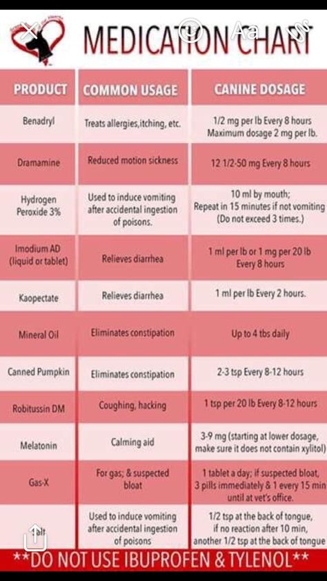 Dog Medication Chart, Dog Medicine Chart, Dog Safe Medications, Benadryl For Dogs Dosage, Benadryl For Dogs, Dog Meds, Gsd Training, Family Emergency Binder, Pet Store Ideas