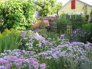 Native Plant Landscape, Grow Garden, Bees And Butterflies, Front Garden Landscape, Drought Tolerant Landscape, Hanging Plants Indoor, Edible Landscaping, Front Yard Garden, Small Space Gardening