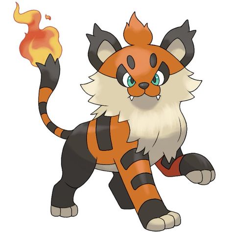 Miranjii on Twitter: "Fire Tiger/Lion Fakemon #fakemon #pokemon https://t.co/vgfANeWkXu" / Twitter Tiger Zodiac, Fire Tiger, Fire Pokemon, Melodrama, Wild Dogs, The Fire, Mammals, Dog Cat, Lion