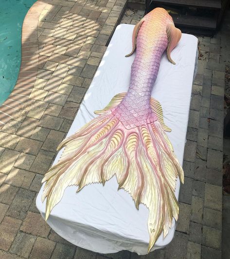 Iridescent Mermaid Tail, Mermaid Tail Aesthetic, Siren Tail, Pink Mermaid Tail, Iridescent Fairy, Realistic Mermaid Tails, Professional Mermaid, Realistic Mermaid, Mermaid Fin