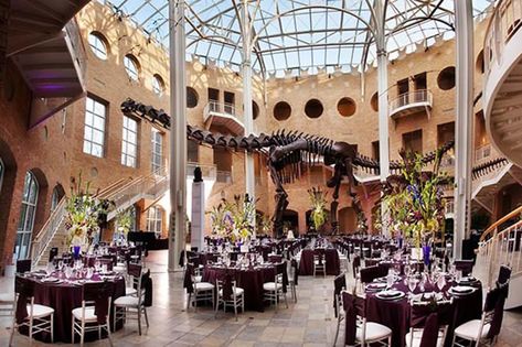 Distinctively Different: 9 Unique Wedding Venues in Atlanta // Fernbank Museum of Natural History Wedding Venues Atlanta Ga, Natural History Museum Wedding, Museum Wedding Venues, Atlanta Wedding Venues, Georgia Wedding Venues, Yosemite Wedding, Inexpensive Wedding Venues, Wedding Reception Locations, Museum Of Natural History