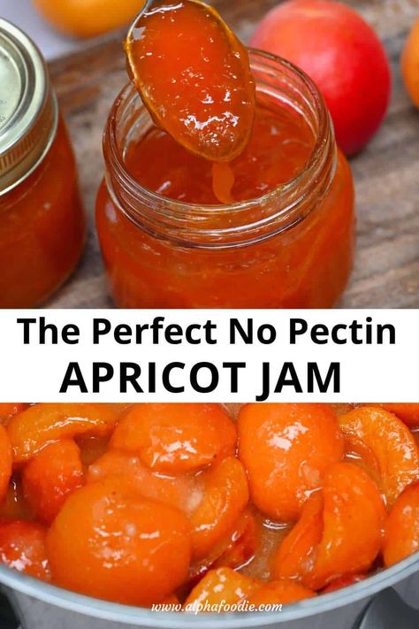 Apricot Freezer Jam Recipe, Easy Apricot Jam Recipe, Canning Apricots, Apricot Jam Recipe, Marmalade Sandwich, Jam Without Pectin, Apricot Jam Recipes, Canning Jam Recipes, Marmalade Jam