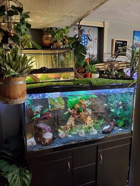 Big Fish Tanks, Axolotl Tank, Aquascape Ideas, Fish Tank Themes, Whites Tree Frog, Garden Room Ideas, Fish Tank Terrarium, Cool Fish Tanks, Small Fish Tanks