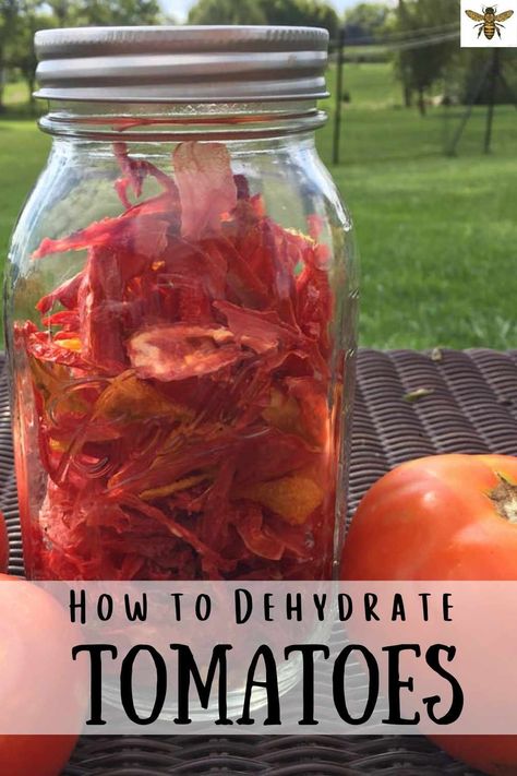 Dehydrate Tomatoes, Dehydrated Tomatoes, Extra Tomatoes, Root Cellars, Preserving Tomatoes, Canning Jar Labels, Preserving Herbs, Canning Vegetables, Homesteading Ideas