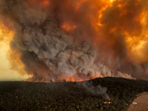 Bushfires In Australia, Fire Breathing Dragon, University Of Sydney, Australian Bush, Satellite Image, Montage Photo, Seaside Towns, Peterborough, South Wales