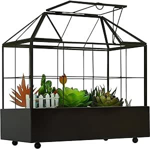 Cacti Terrarium, Greenhouse Terrarium, Large Glass Terrarium, Glass Greenhouse, Terrarium Kit, Cactus Terrarium, Jewel Orchid, House Planter, Tall Plant