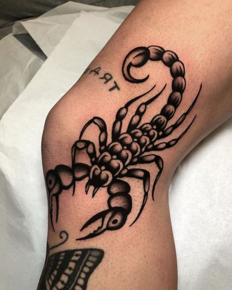 Scorpio Tattoo Traditional, Scorpion American Traditional Tattoo, American Traditional Crab Tattoo, American Traditional Scorpion Tattoo, American Traditional Filler, Traditional Scorpion Tattoo, Gap Filler Tattoo, Traditional Snake Tattoo, Tattoo Filler