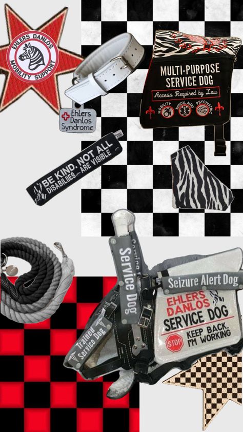 Collage of red black gray and white items with Ehlers- Danlos/rare disease themed service dog gear Dog Seizures, Service Dog Gear, Service Dogs Gear, Ehlers Danlos, Train Service, Rare Disease, Medical Alert, Service Dog, Dog Gear