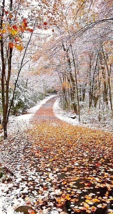 Uplifting Sayings, Quotes Uplifting, First Snowfall, Happy Weekend Quotes, Weekend Quotes, Autumn Scenery, Winter Scenery, Winter Beauty, Winter House