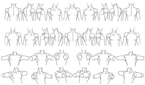 Male Torso, Human Figure Drawing, Anatomy Sketches, Body Reference Drawing, Reference Sheet, Drawing Studies, Anatomy Drawing, Body Drawing, Anatomy Reference