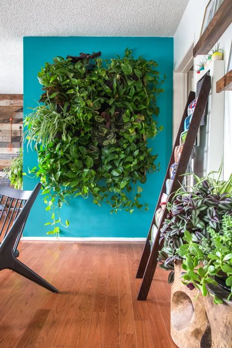 Living Wall Indoor, Vertical Garden Indoor, Vertical Garden Design, Vertical Vegetable Garden, Vertical Herb Garden, Vertical Gardens, Walled Garden, Wall Garden, Small Space Gardening